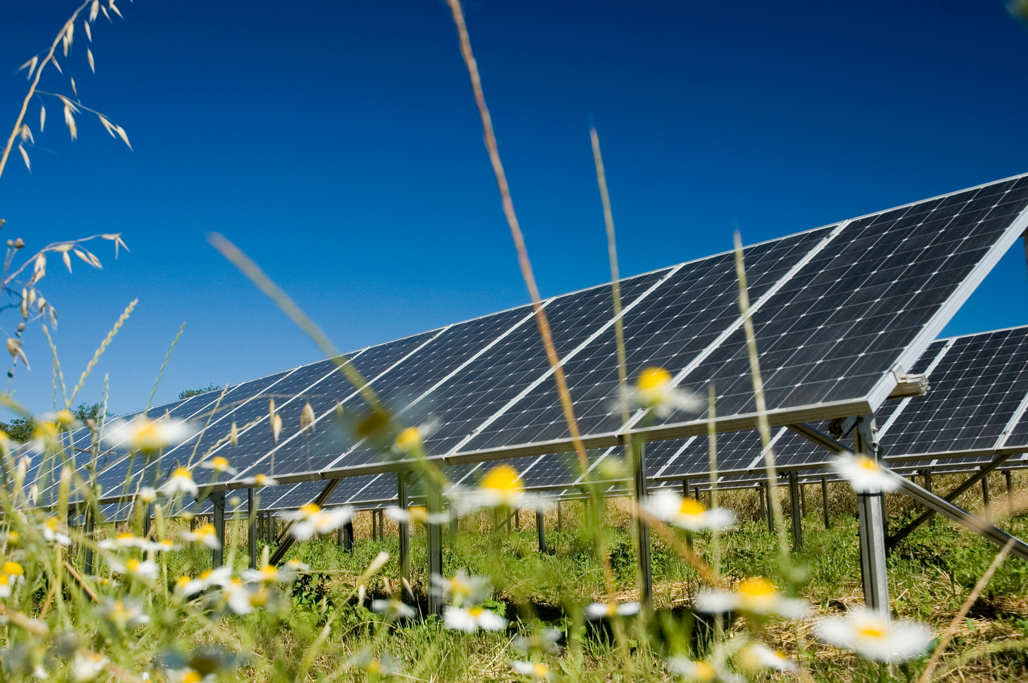 Solar Farm Image